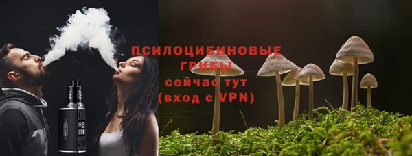 mdpv Переславль-Залесский