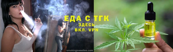 индика Новодвинск