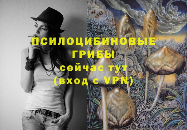 не бодяженный Новозыбков