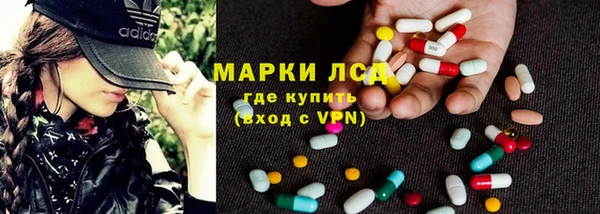 индика Березники