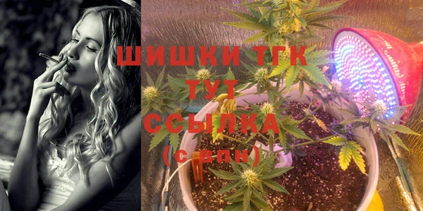 дживик Нягань