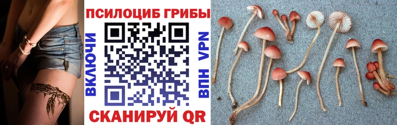 Галлюциногенные грибы MAGIC MUSHROOMS  Черкесск 